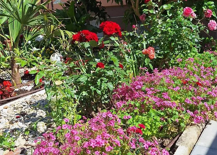 Santima باشْكا